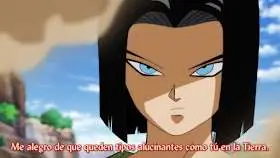 Dragon Ball Super Sub 86 – ¡Nuestros puños se cruzan por primera vez! El androide 17 Vs. Goku