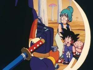 Dragon Ball Capitulo 10: Las esferas del dragón han sido robadas