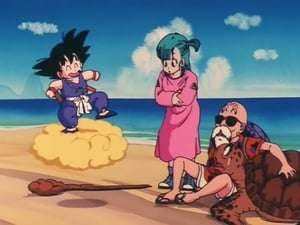 Dragon Ball Capitulo 3: La nube dorada de Roshi
