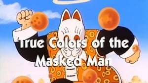 Dragon Ball Capitulo 76: La verdadera identidad del hombre enmascarado es
