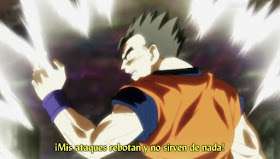 Dragon Ball Super Sub 103 – ¡No muestres piedad, Gohan! Enfrentamiento contra el Universo 10